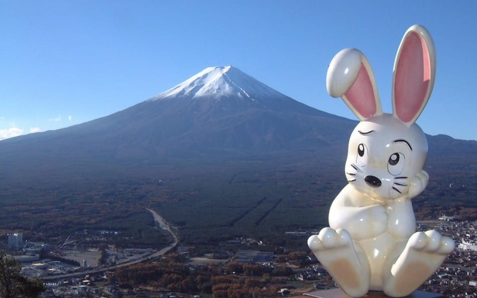 Tokyo: Mount Fuji Kawaguchiko Ropeway Sightseeing Day Tour - Inclusions and Exclusions