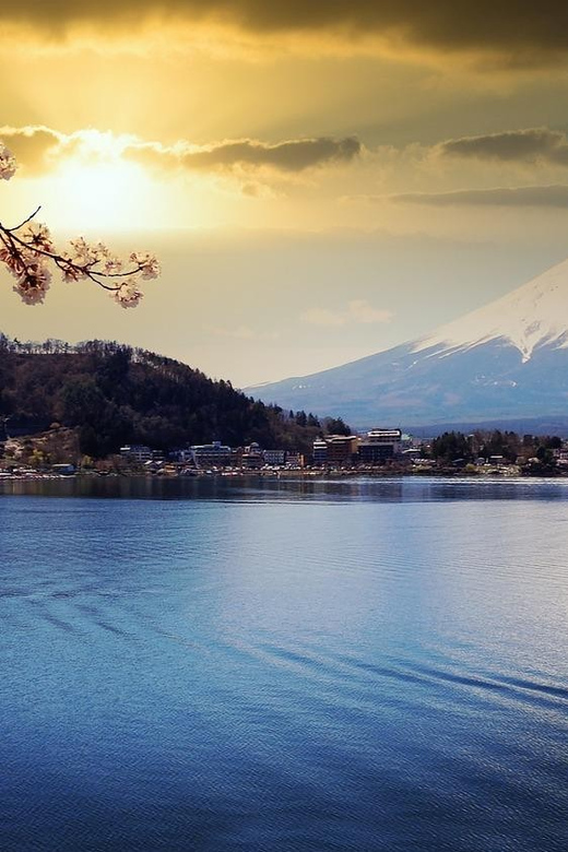 Tokyo: Mount Fuji or Hakone Customized Private Full-Day Trip - Customization Options