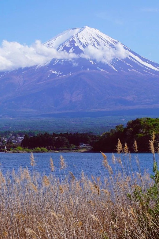 Tokyo: Mount Fuji Views & KABA Amphibious Bus Day Tour (OPT) - Pricing and Discounts