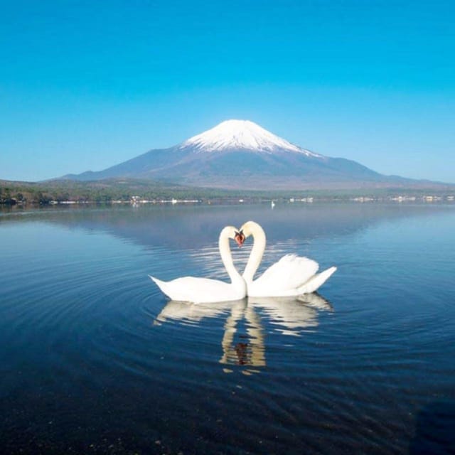 Tokyo: Mount Fuji, Yamanaka Lake, Kawaguchiko Lake Day Trip - Tips for a Successful Trip