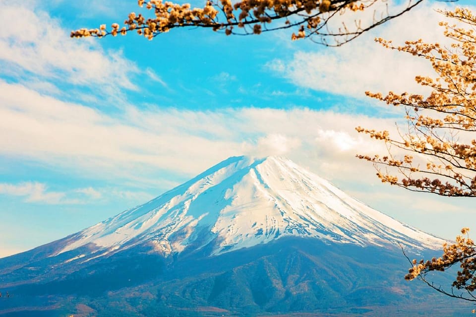 Tokyo: Mt. Fuji 5th Station, Oshino Hakkai, Onsen 1-Day Trip - Customer Reviews