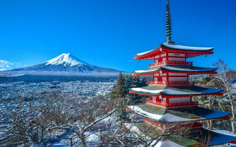 Tokyo: Mt Fuji and Hakone Full Day Private Tour - Important Tour Guidelines