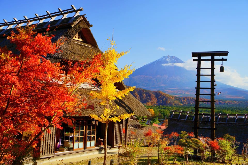 Tokyo: Mt. Fuji, Arakurayama Sengen Park, Oshino Hakkai Tour - Important Information