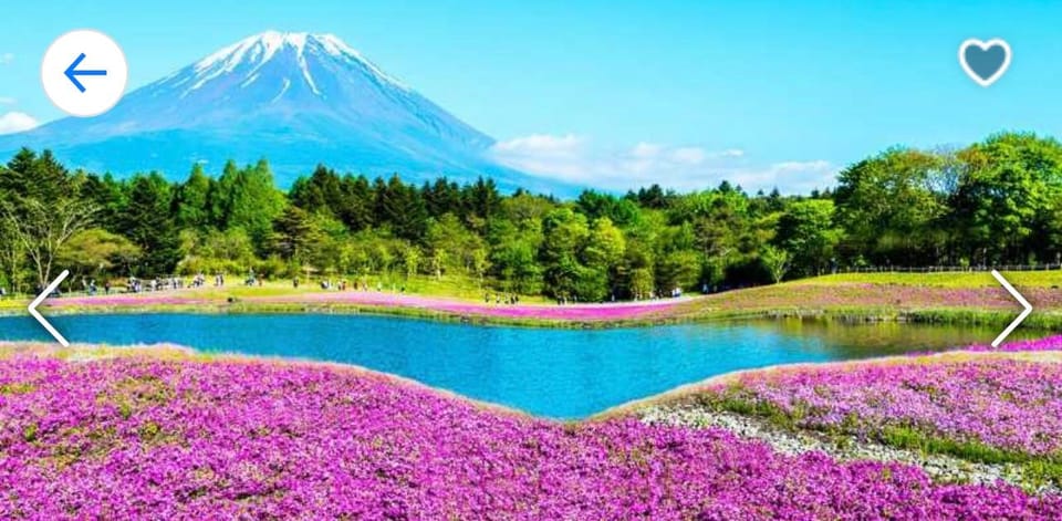 Tokyo: Mt. Fuji, Kawaguchi Lake, & Oshino Hakkai Day Trip - Inclusions