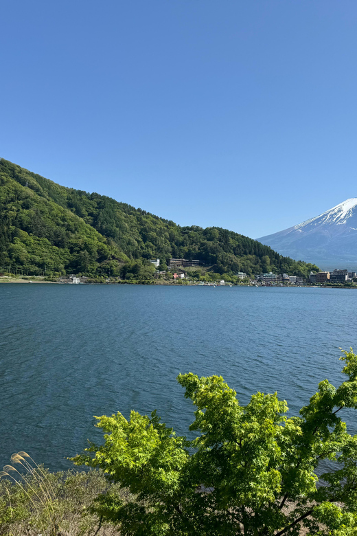Tokyo: Mt. Fuji, Oshino Hakkai, Kawaguchiko Lake Day Trip - Guided Tour Experience