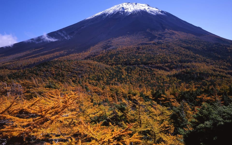 Tokyo: Mt.Fuji Private Sightseeing Tour Eng Speaking Driver - Inclusions and Exclusions