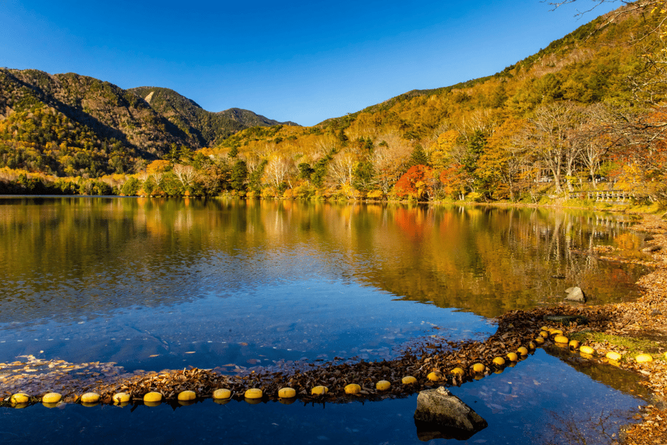 Tokyo: Nikko Highlights Tour With Temples, Waterfalls & Lake - Included Amenities