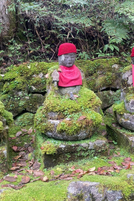 Tokyo: Nikko World Heritage Private Tour By English Guide - Booking and Cancellation Policy