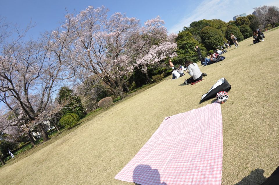 Tokyo: Private Cycling Tour With Cute E-Bike - Customer Reviews