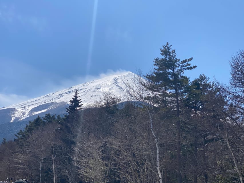 Tokyo: Private Day Trip to Mt. Fuji With Custom Itinerary - Transportation Details