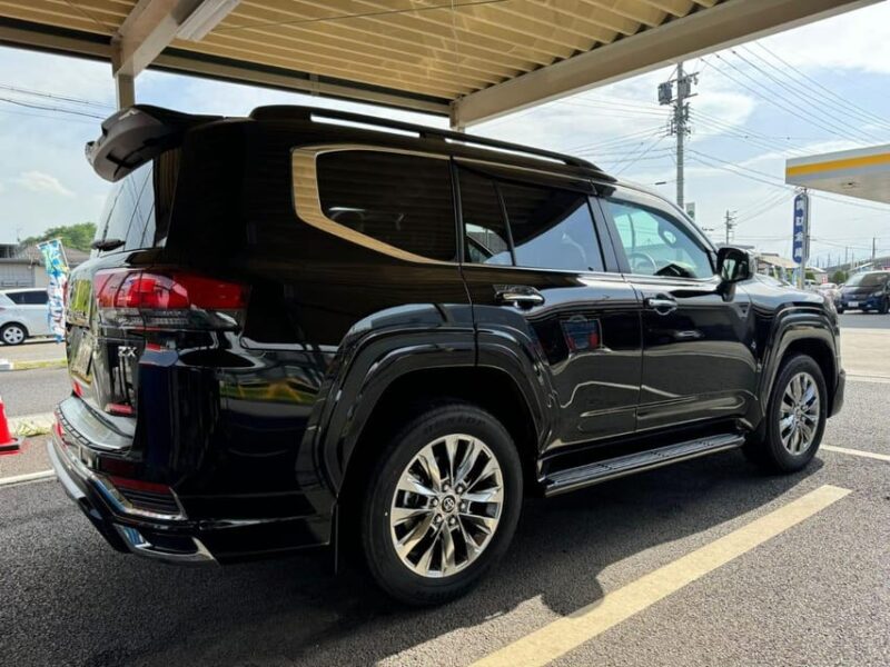 Tokyo: Private Nikko Sightseeing Tour In Luxury Land Cruiser - Amenities Included