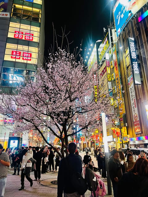 Tokyo: Shinjuku Kabukicho & Golden Gai Walking Tour - Meeting Point Details