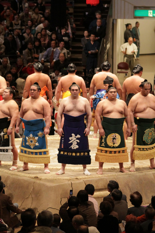 Tokyo: Sumo Wrestling Tournament A-Class Seat & Interpreter - Experience A-Class Seating