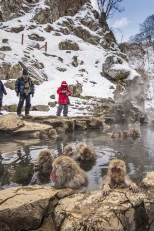 Tokyo To Nagano (Snow Monkey Zenkoji Temple Private Tour) - Booking Process