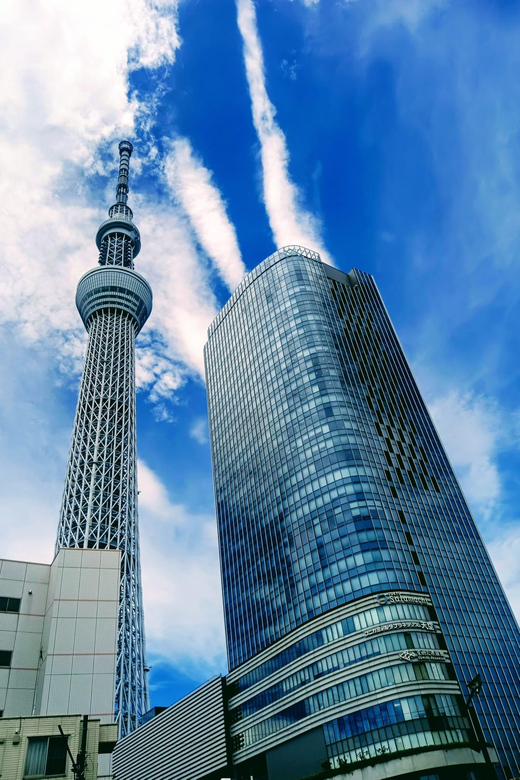 Tokyo Tour One Day Private Tour by Car With English Driver - Additional Costs Explained