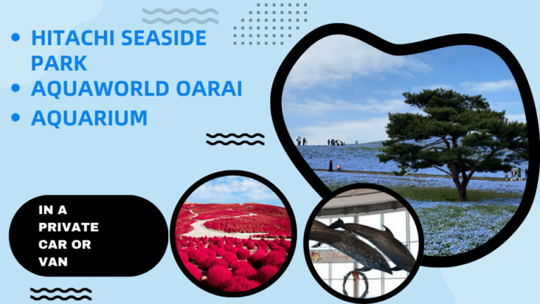 Tokyo:Hitachi Seaside Park and Aquaworld Oarai Aquarium Tour