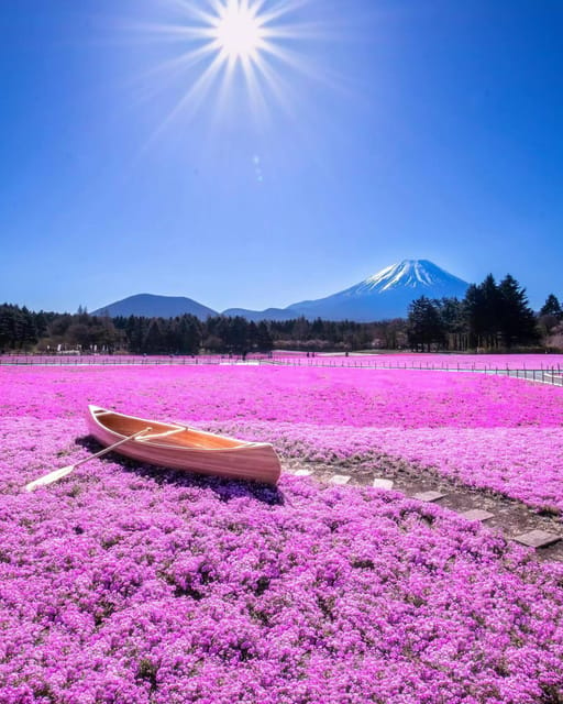 Tokyo:Lake Kawaguchi、Oshino Hakkai、View Mount Fuji Day Trip - Included Services