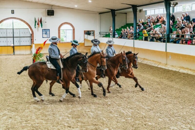 Torremolinos: Horse Show, Dinner Option, Drinks, & Flamenco - Adult and Childrens Dinner Menus