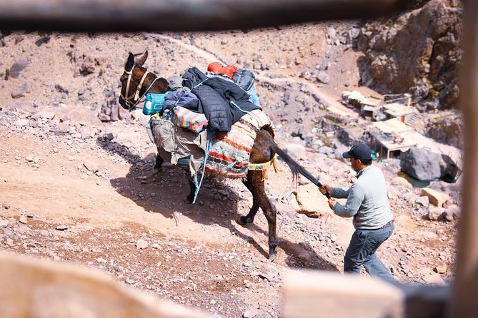 Toubkal Trekking 2 Days - Tips for a Successful Trek