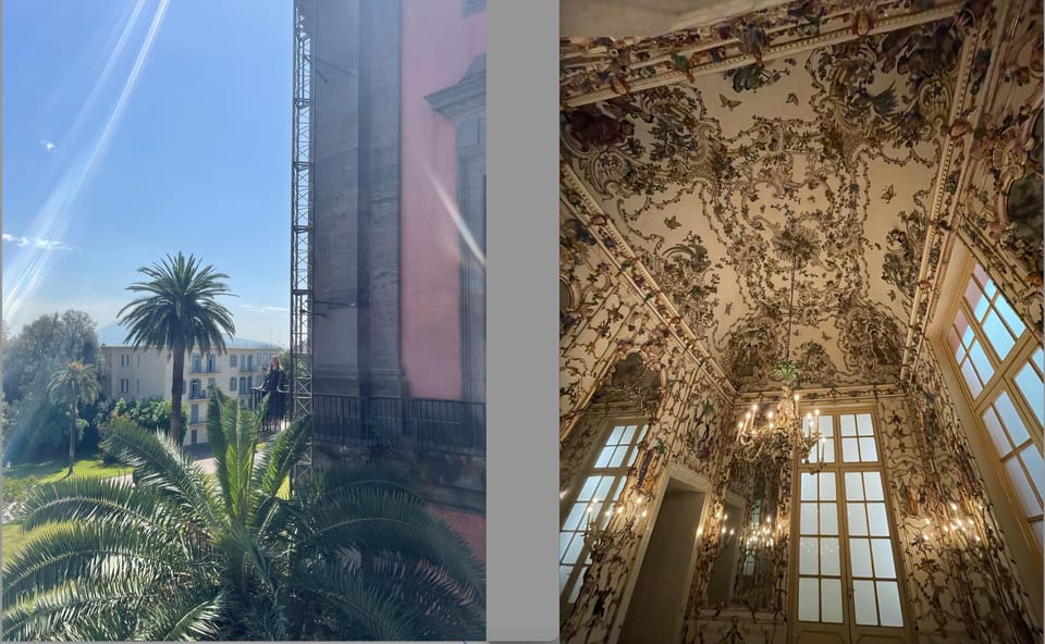 Tour Through Capodimonte From Art History Student and Intern - Visitor Amenities and Accessibility