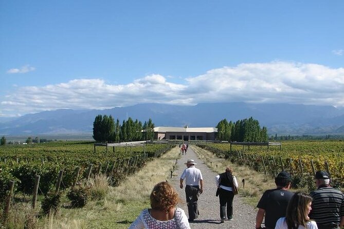 Transfer to Salentein Uco Valley With Lunch and Visit - Return to Mendoza