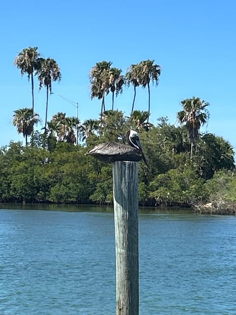 Treasure Coast Eco History Tour, Ft Pierce FL - Important Information