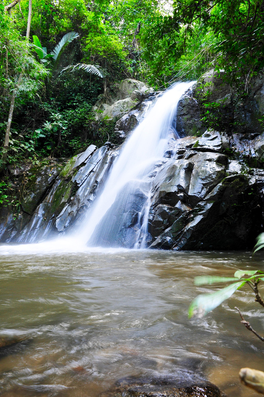 Tree House Stay + Sticky Waterfall & Caves - Activity Name and Pricing