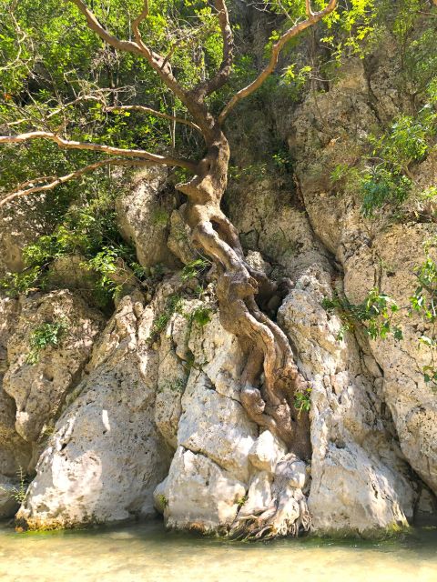 Trek at Acherontas River the Gate of the Underworld - Participant Restrictions