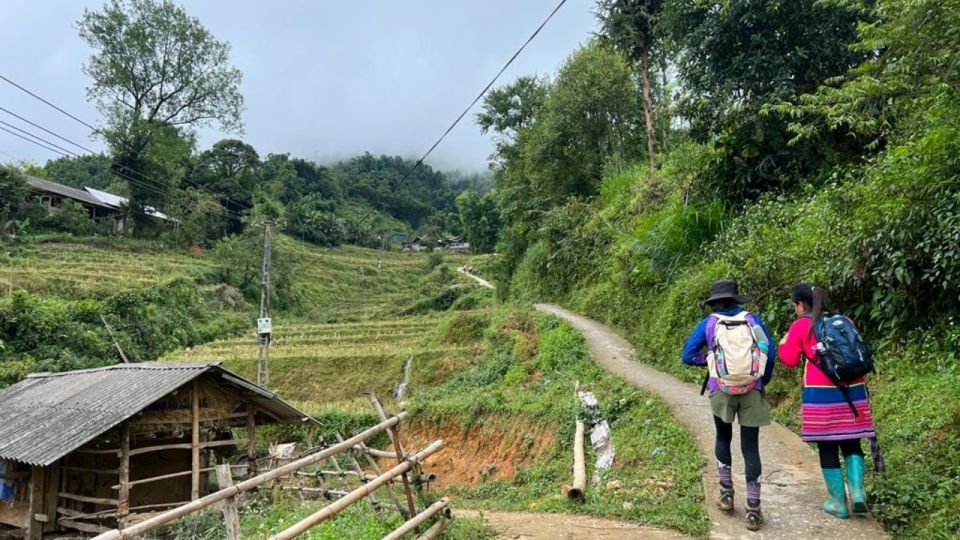 Trekking Through Rice Terraced Fields - Preparation Tips