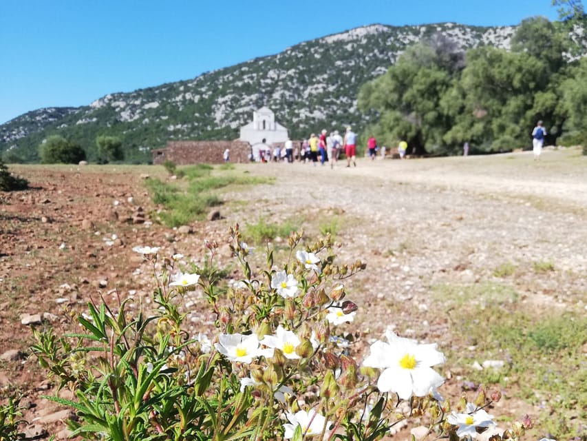 Trenino Supramonte: Guided Tour of Golgo Plateau - Languages and Audio Guides