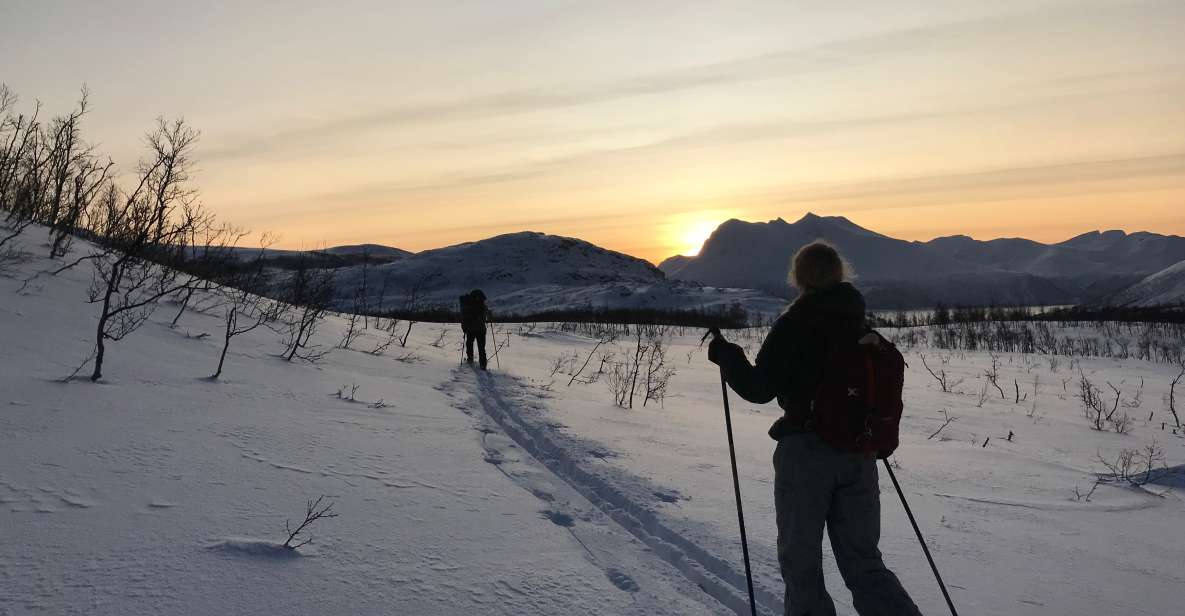 Tromsø: Beginner-Friendly Nordic Wilderness Skiing Tour - Suitable Participants