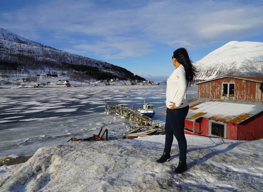 Tromsø: Fjord Sightseeing in a Tesla X Luxury Electric Car - Scenic Lunch Stop Experience