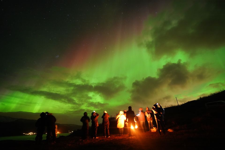 Tromsø: Northern Lights Tour With Free Professional Portrait - Customer Reviews and Ratings