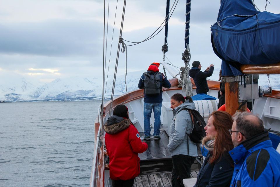 Tromsø: Polar Fjord Cruise on a Luxury Yacht With Lunch - Optional Upgrades Available