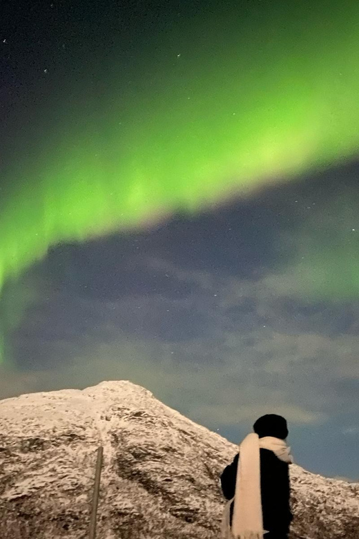 Tromsø: Private or Semi-private Northern Lights Tour - Important Information