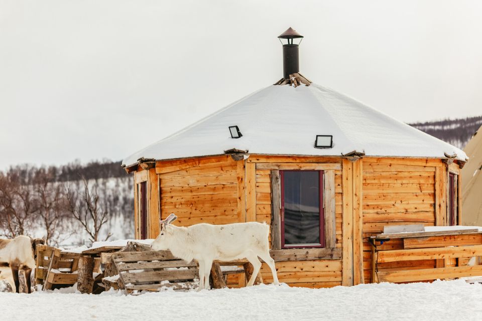 Tromsø: Reindeer Sledding & Feeding With a Sami Guide - Included Amenities