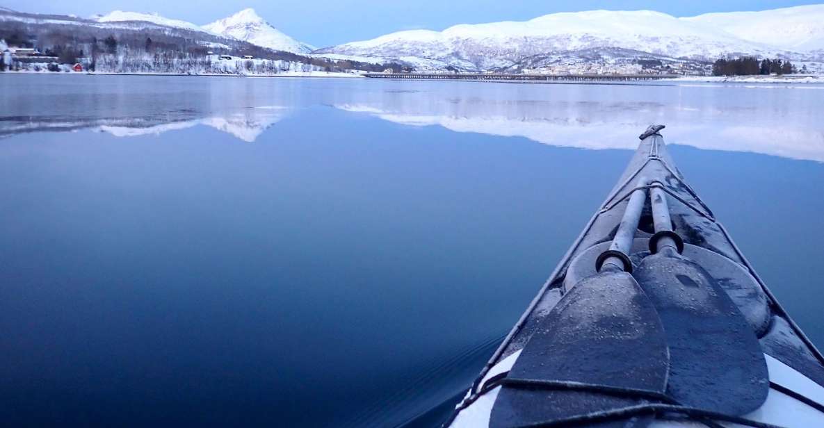 Tromsø: Winter Sea Kayaking Tour With Wildlife Sightings - What to Bring