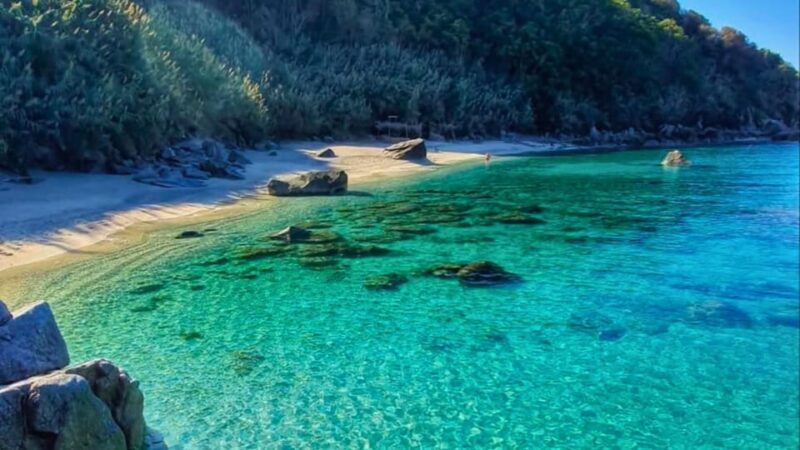 Tropea: Dinghy Tour to Capo Vaticano - Inclusions
