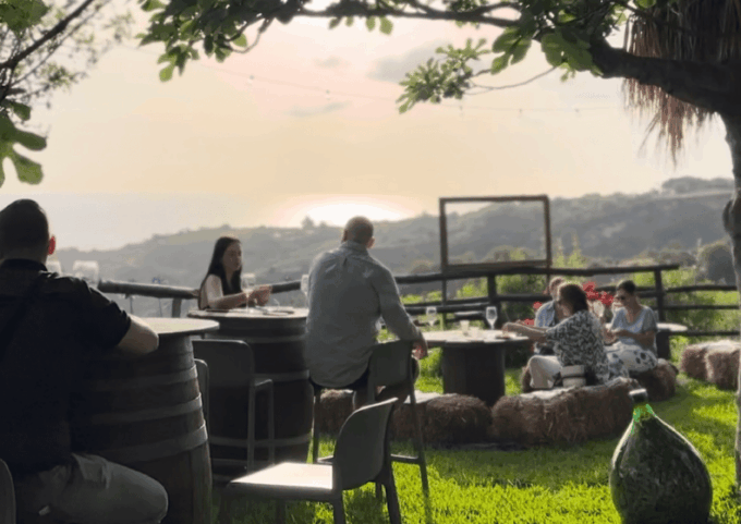 Tropea: Wine and Food Tasting - Customer Feedback and Overall Rating