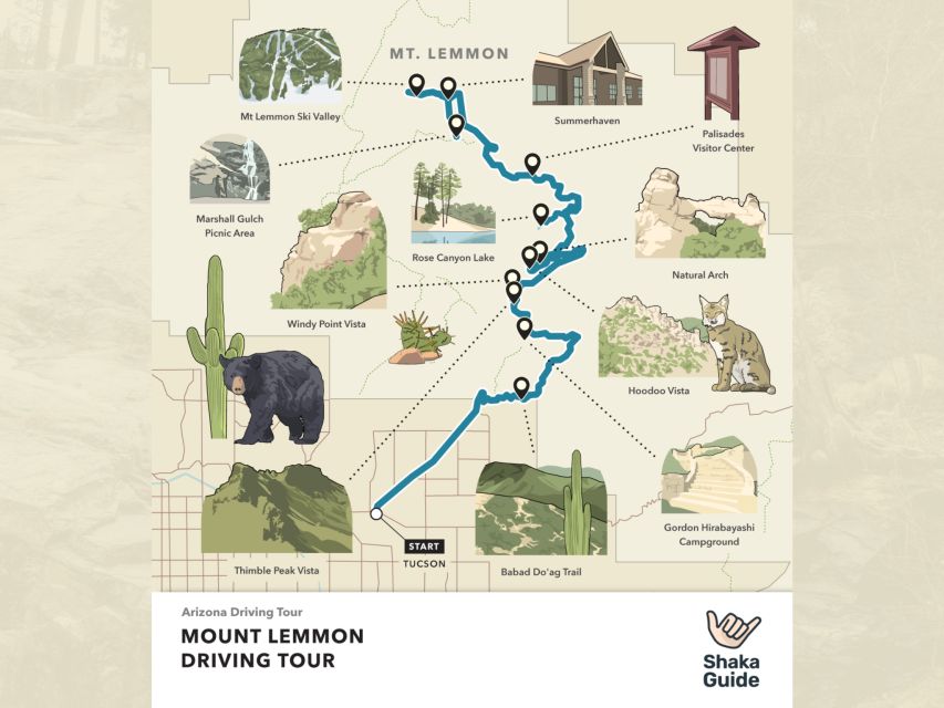 Tucson Tour: Saguaro & Mt. Lemmon Self-Guided Audio Tour - Mount Lemmon Scenic Byway