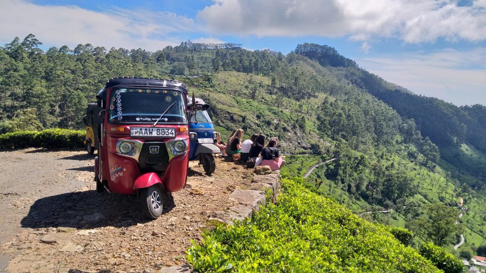 Tuk-Tuk Safari Liptons Seat,Tea Fields Hike,Teafactory Tour - Included Services