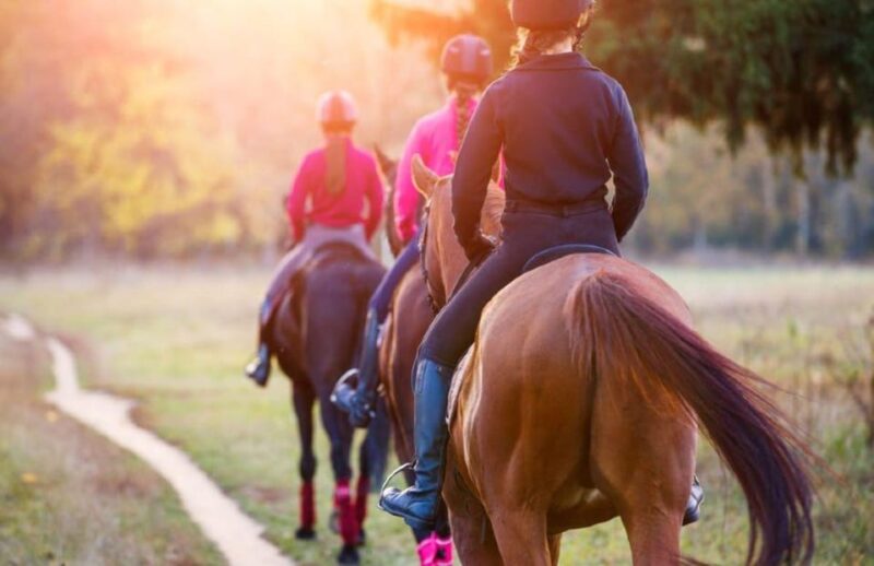 Tuscan Countryside Thrills on a Three-Day Tour - Day 3: Chianti Safari