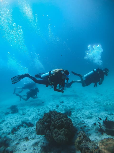 Two Fun Dives in Koh Kood or Koh Rang Marine Park - Safety and Professionalism