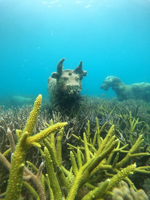 Two Introduction Dives for Beginners at Koh Kood or Koh Rang - Inclusions