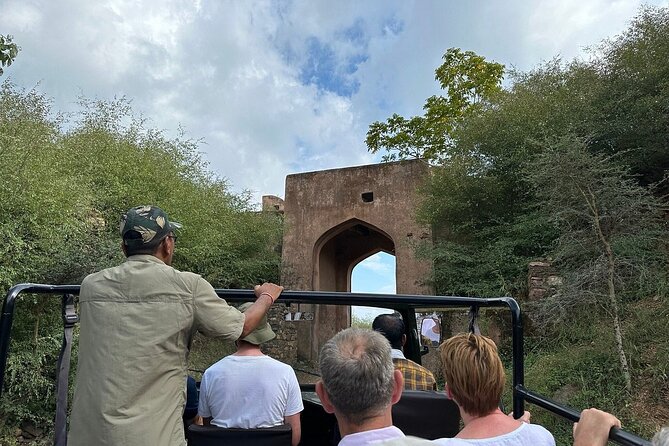 Two Night Safari Experience Ranthambore National Park &Transfers - Customer Feedback and Reviews