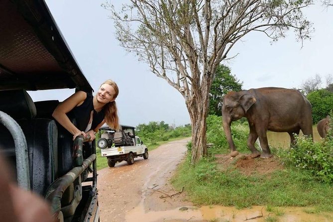 Udawalawe National Park Safari | From Ella - Pickup Details