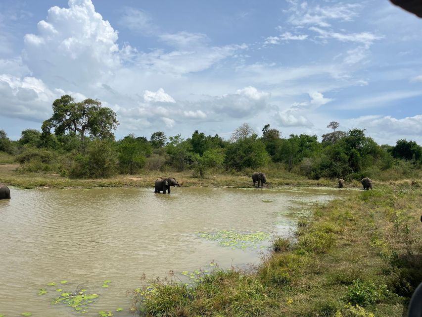 Udawalawe National Park Wildlife Safari From Kaluthara - Accessibility and Restrictions