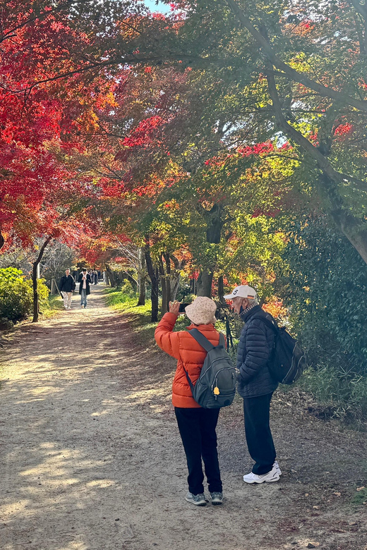 Uji & Fushimi Inari Adventure: Tea, Temples, and Torii Gates - Exploring Ujis Temples