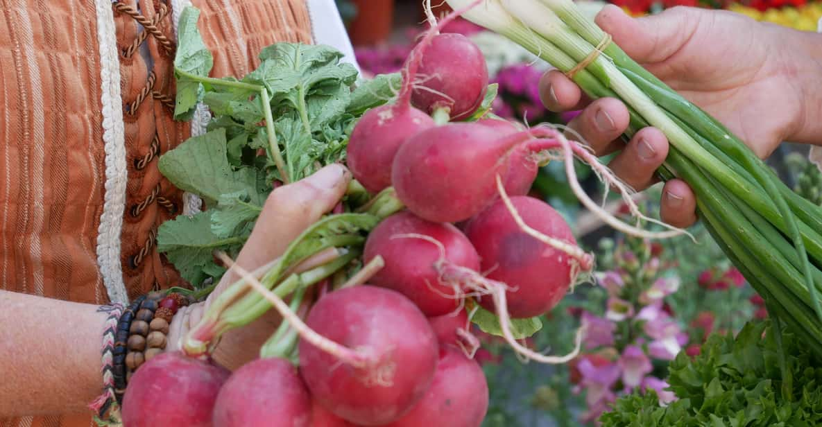 Ulm: Guided Tour Through the Weekly Market With Tasters - Accessibility and Suitability