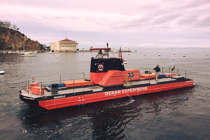 Undersea Expedition: Catalina Island Tour - Customer Reviews